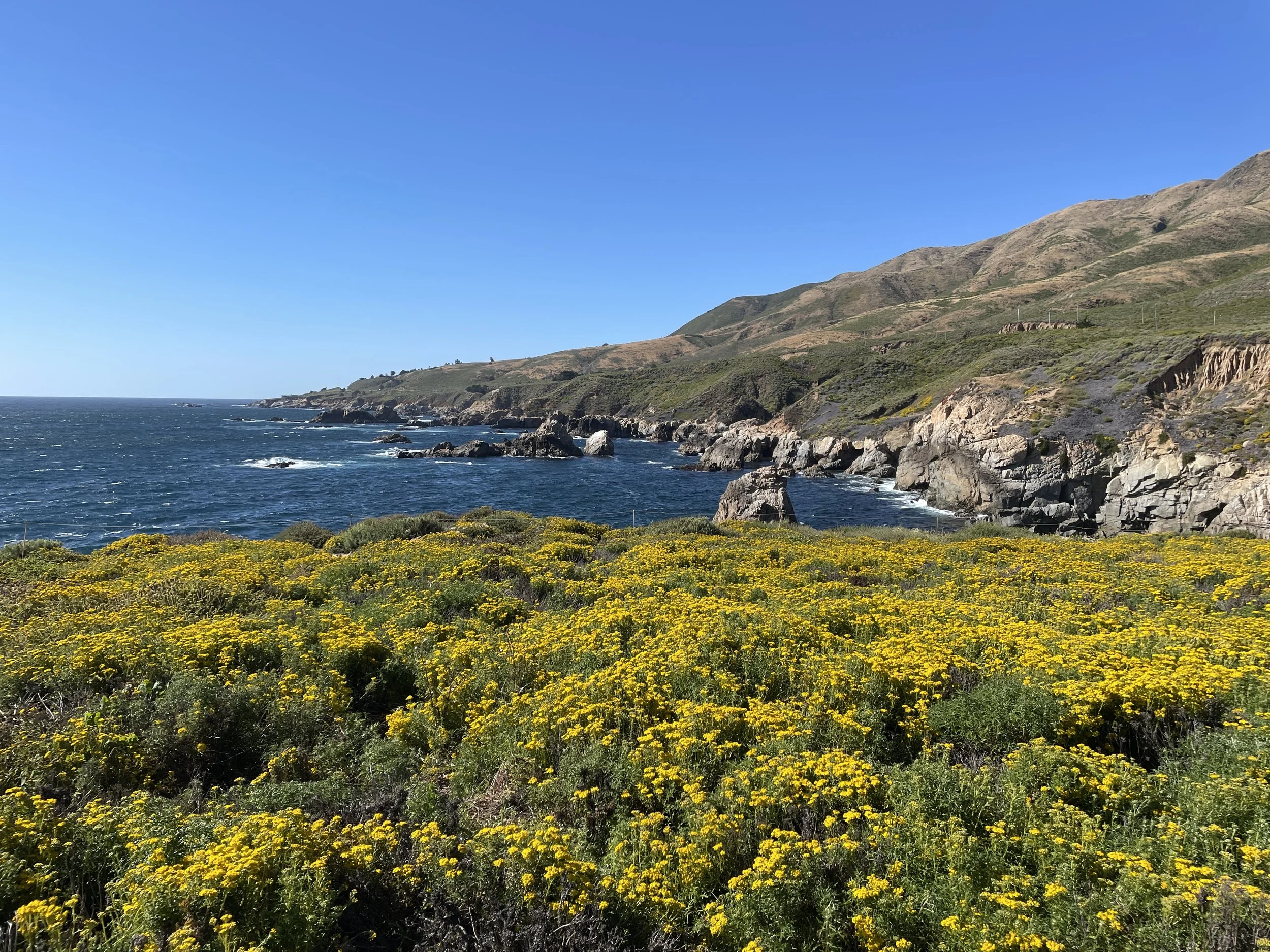 California Coast Road Trip