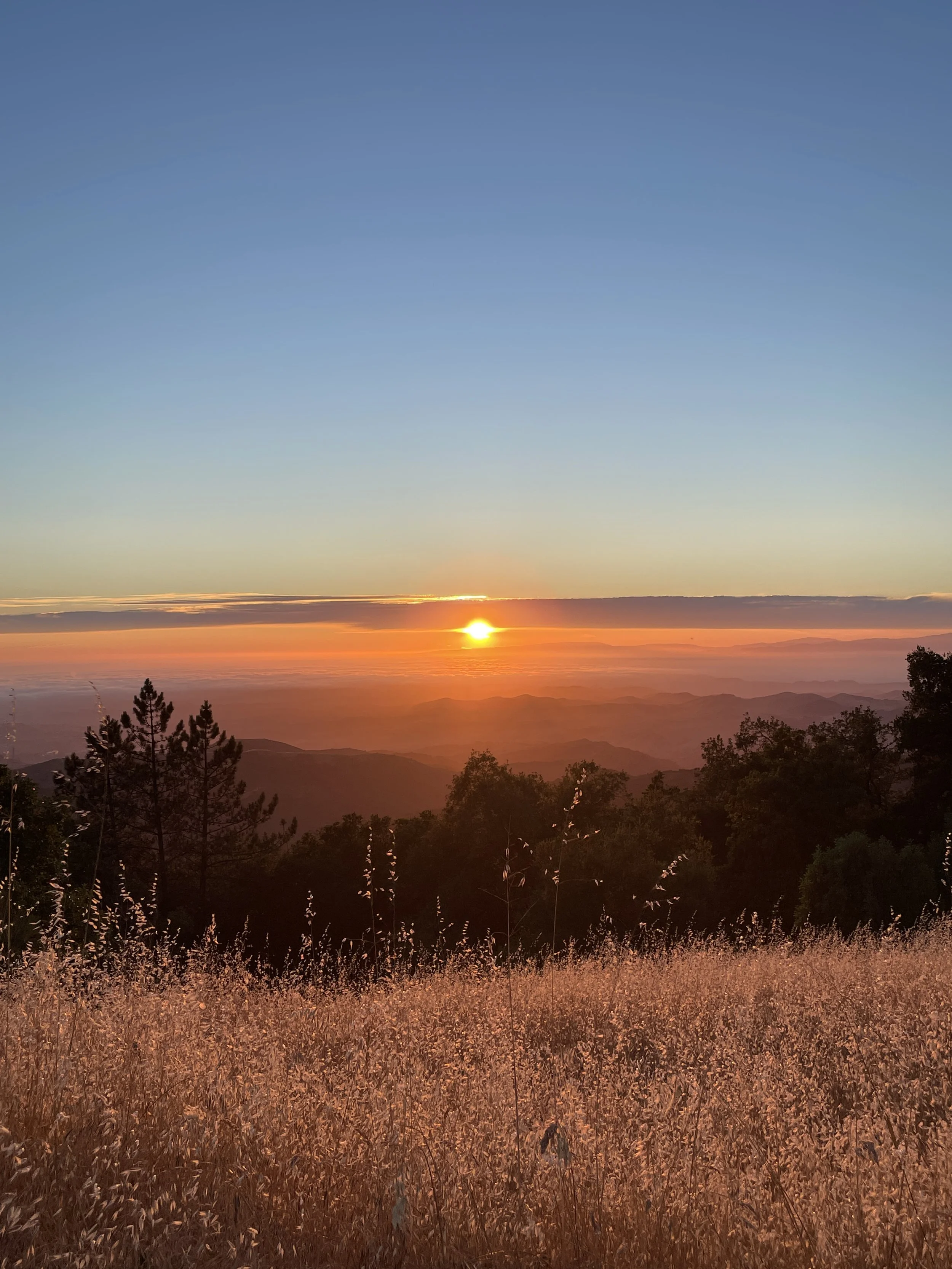 Sunset at Fremont State Park, California
