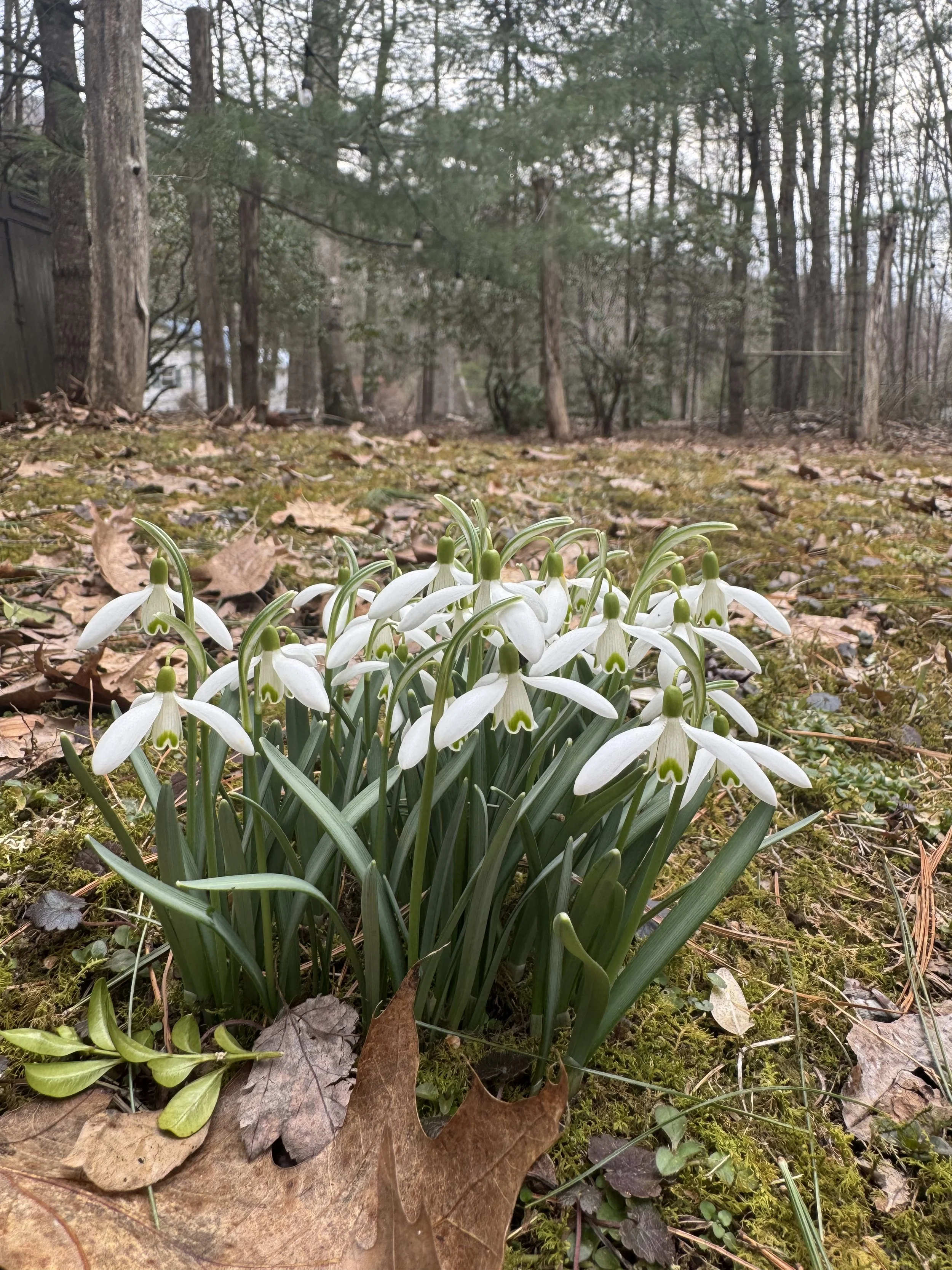 The Most Wonderful Life There Is : The Fascinating Challenges of Cultivating a Unique Voice and Vocational Identity in Public