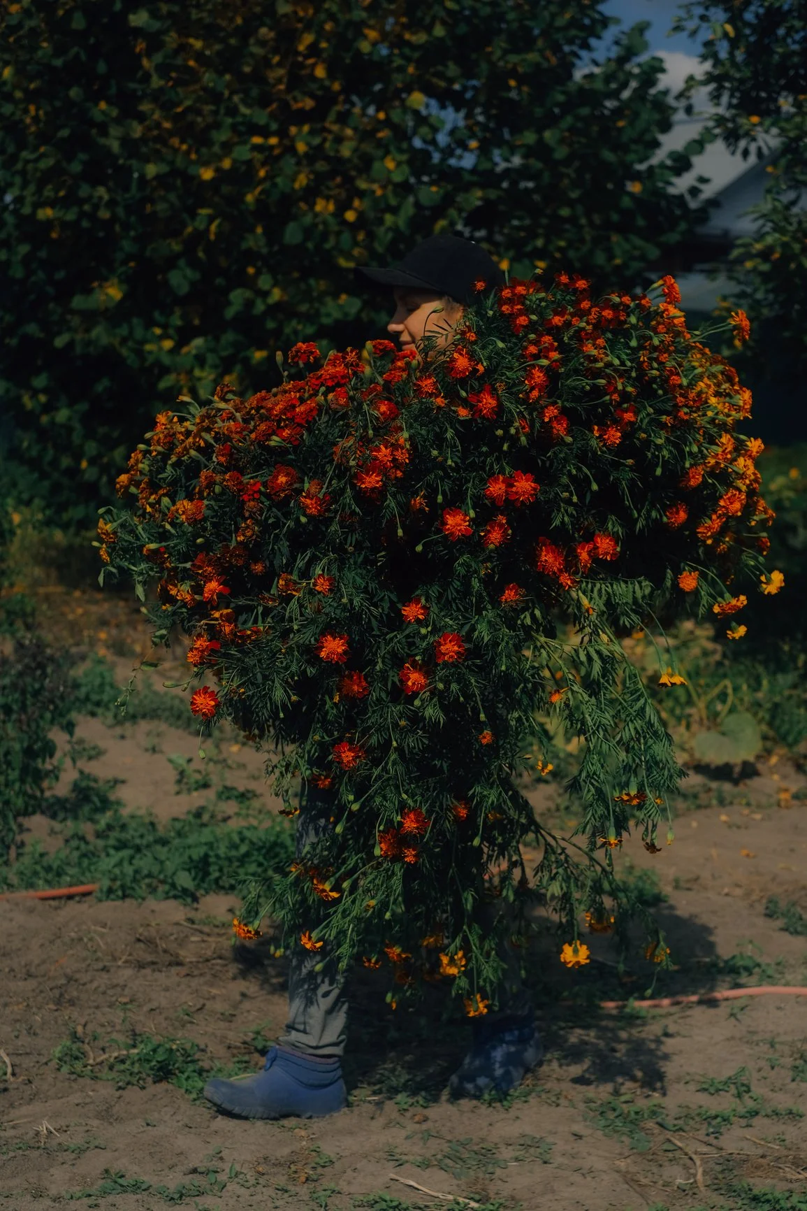 Care of the soul: On lineage, psychotherapy, and the oldest work there is