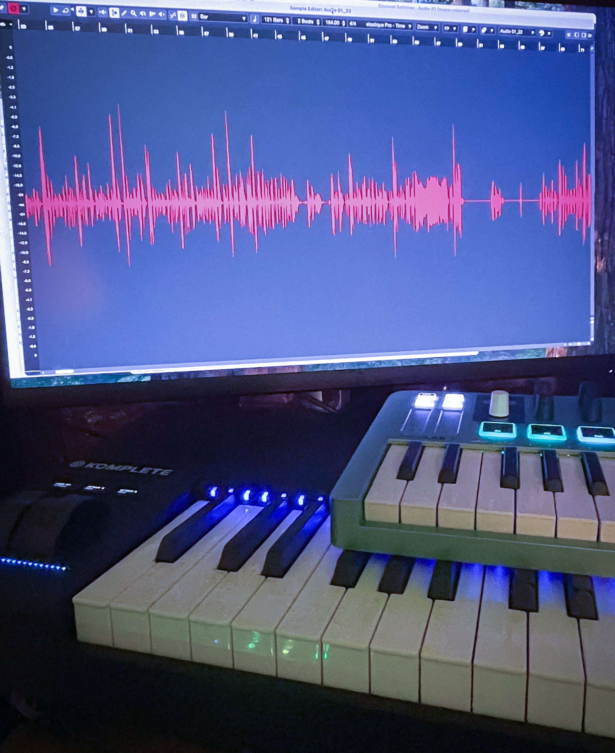 Audio waveform of Emilie's voice on a computer screen in a recording studio