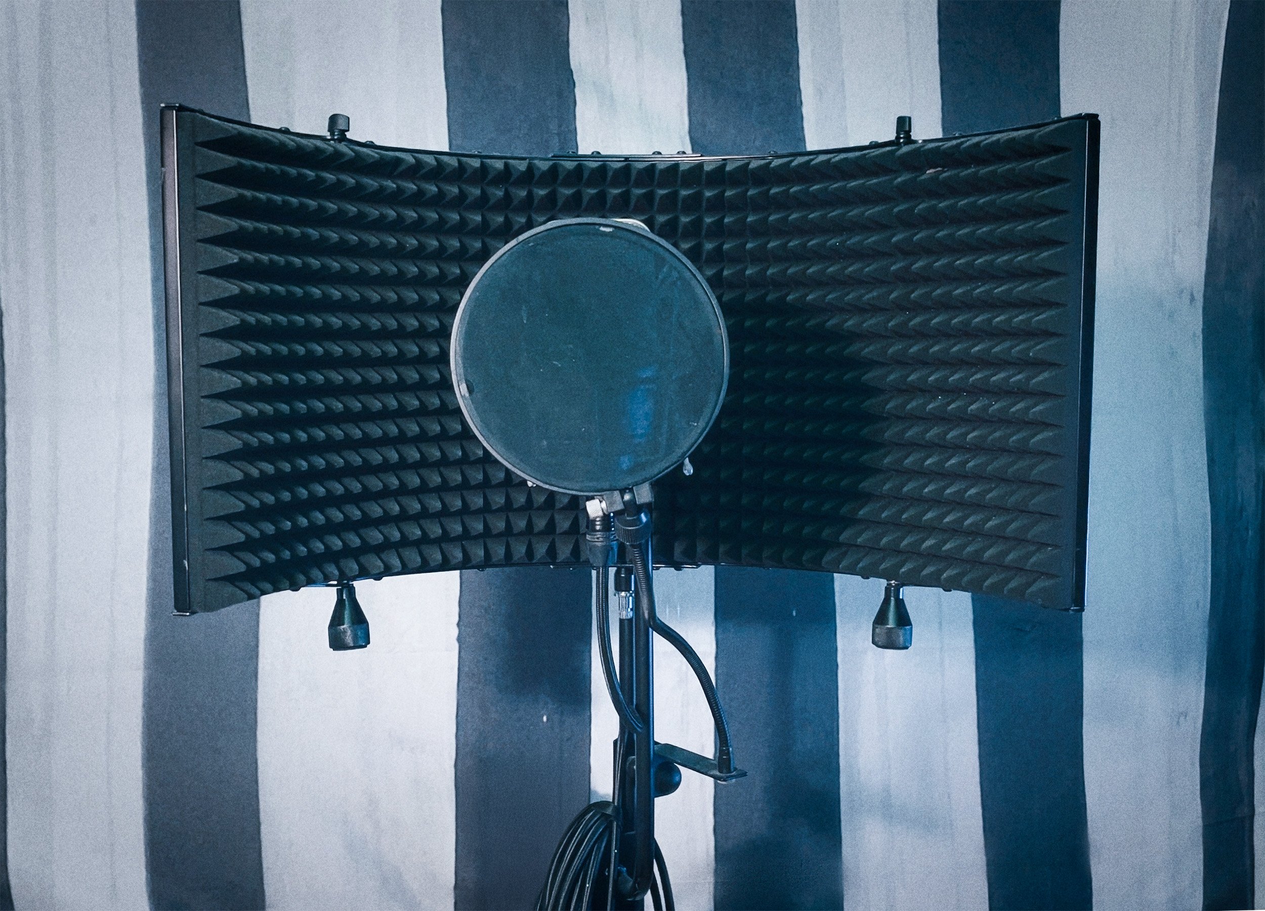 Emilie Autumn's vocal microphone.