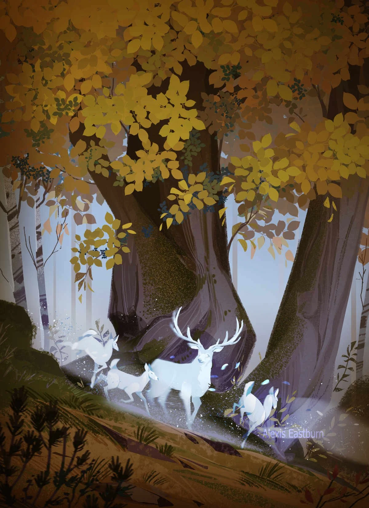 daily draw - nov 25 2025 - tree.jpg