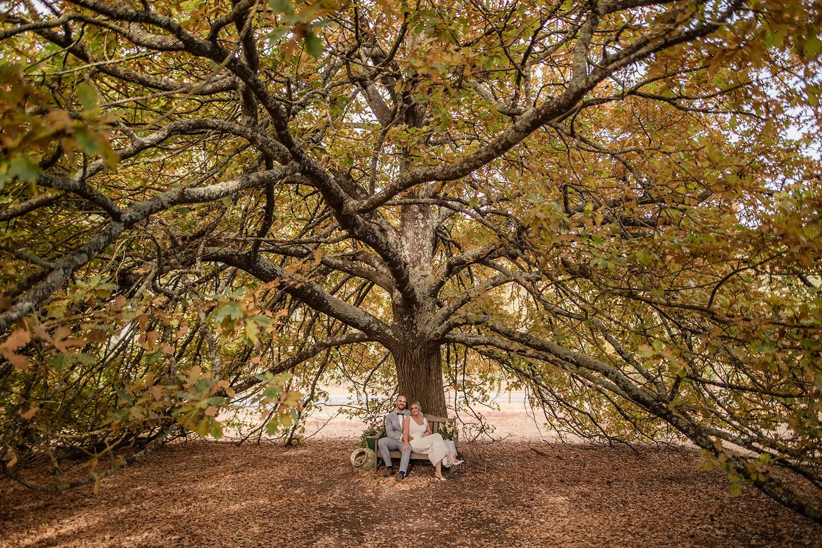 Travis & Benny Weddings - Jessica & Michael-544_websize (1).jpg