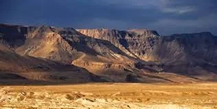 Angels in the Wilderness