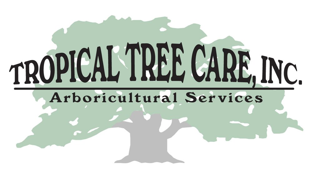 Tropical Tree Care
