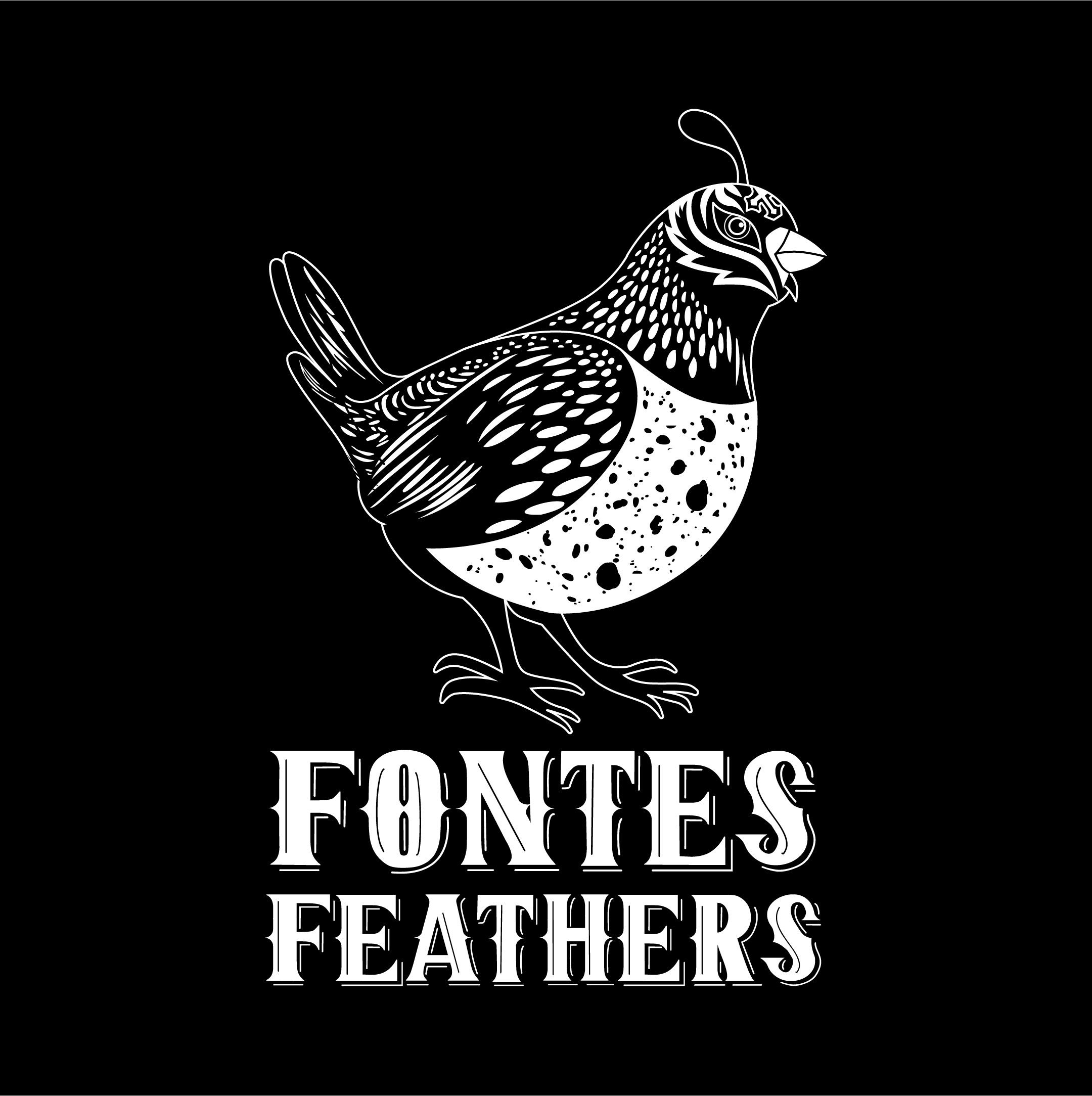 Fontes Feathers_Black Background@2x.PNG