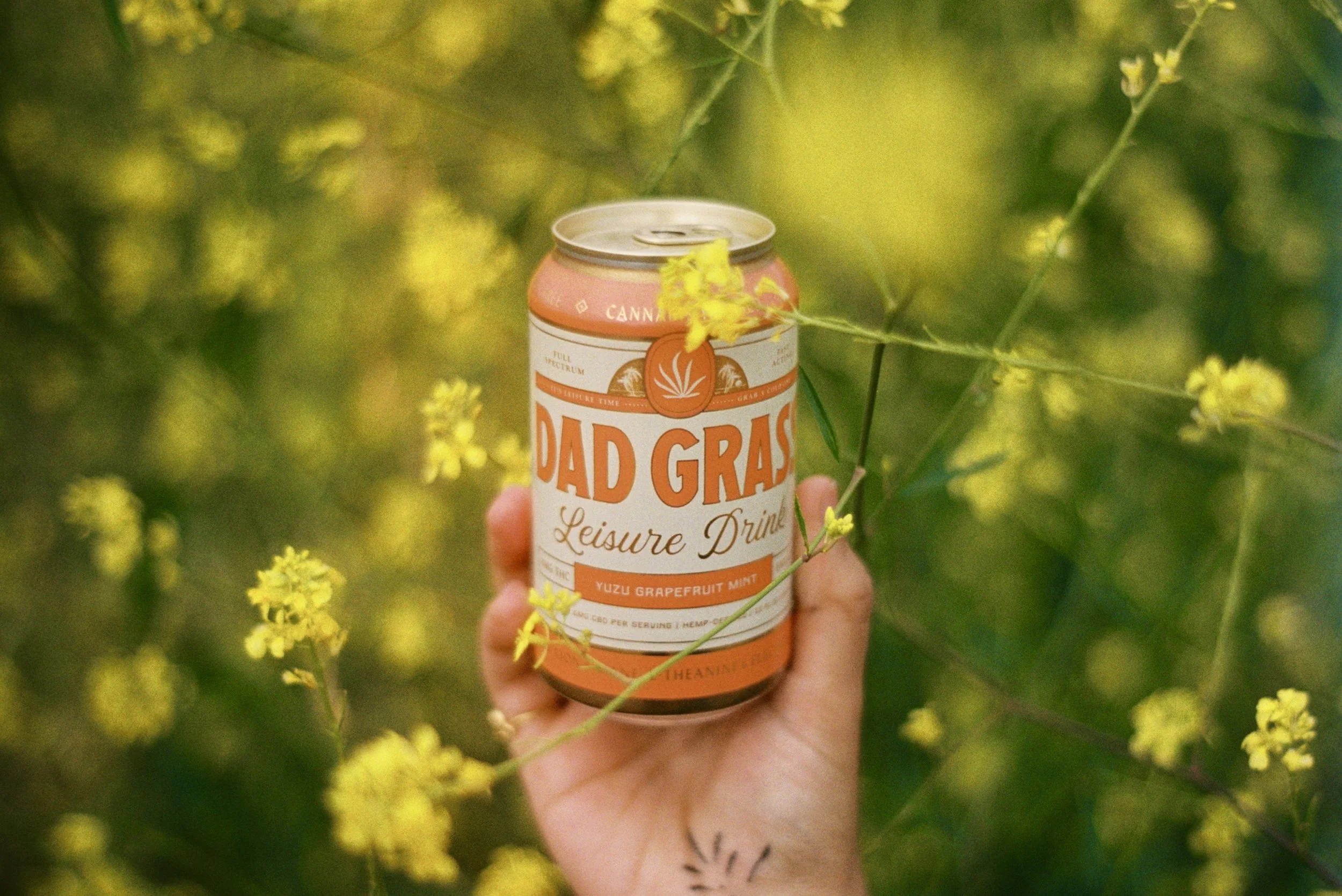 Promotional film photo for Dad Grass 2025 Spring