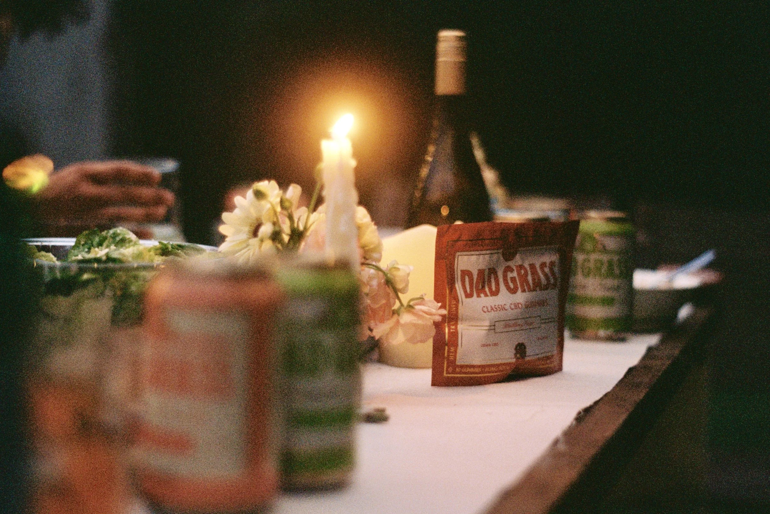 Promotional film photo for Dad Grass 2025 Summer. Portra 400