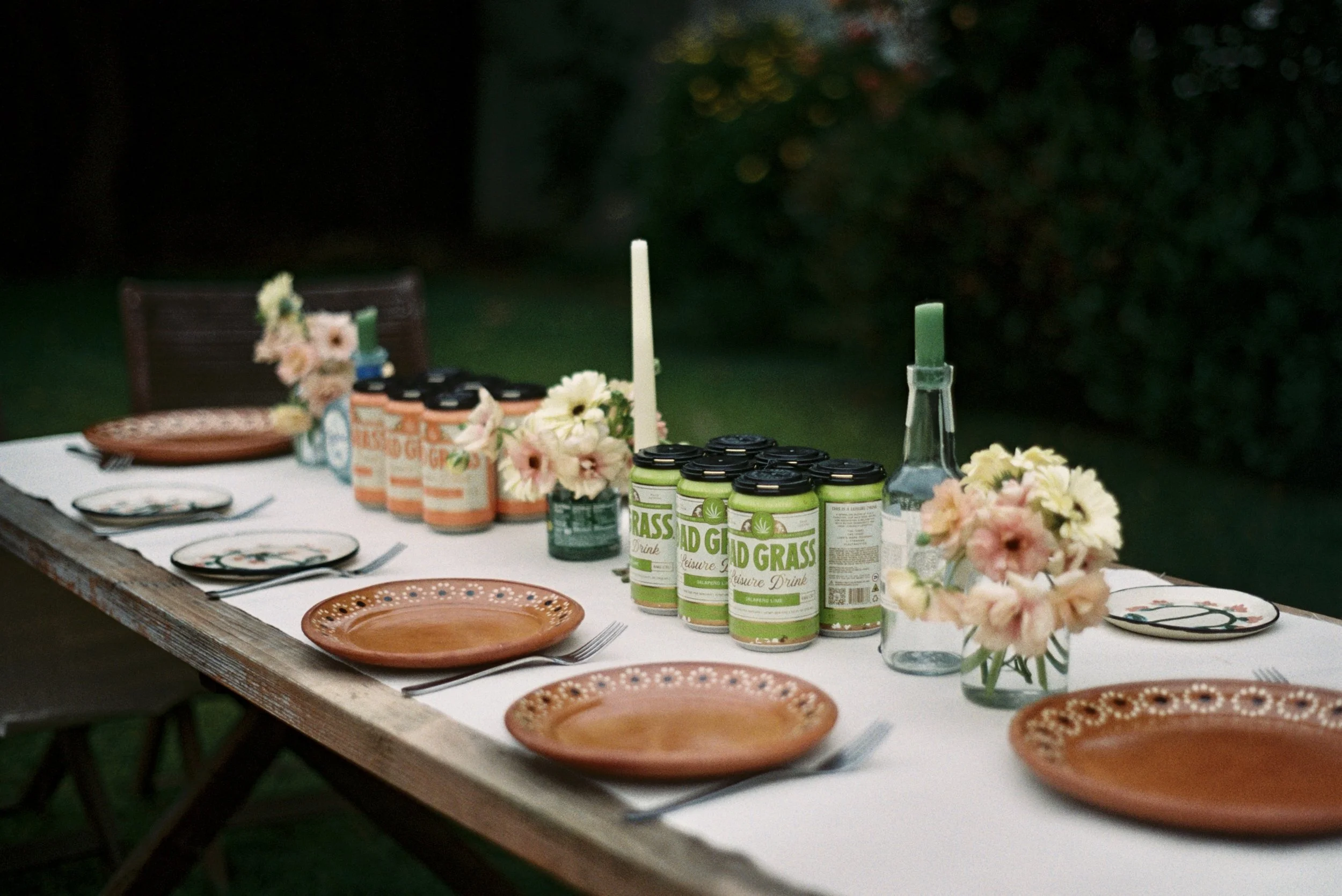 Promotional film photo for Dad Grass 2025 Summer. Portra 400