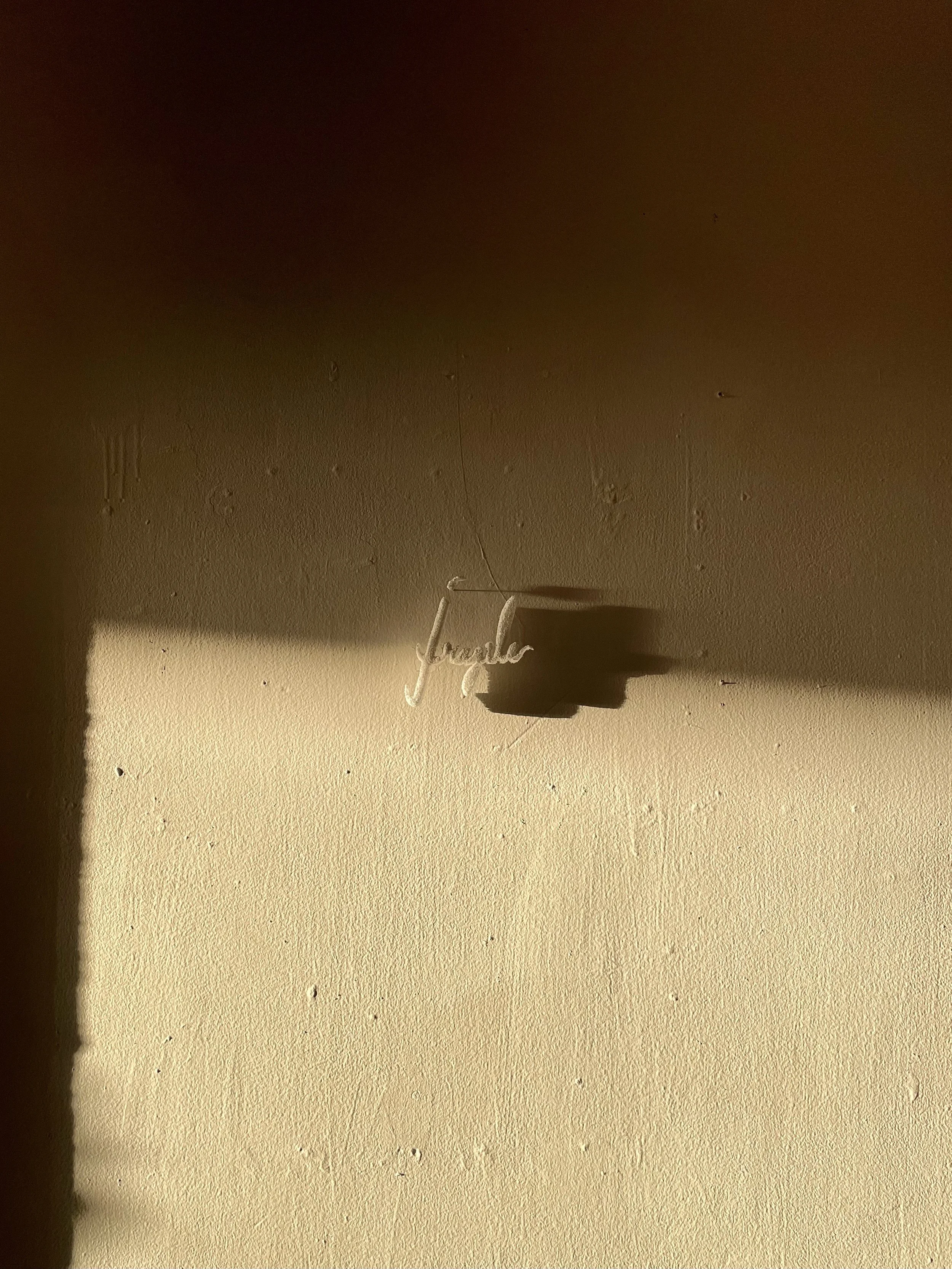 Fragile_Lily Pressman.jpeg