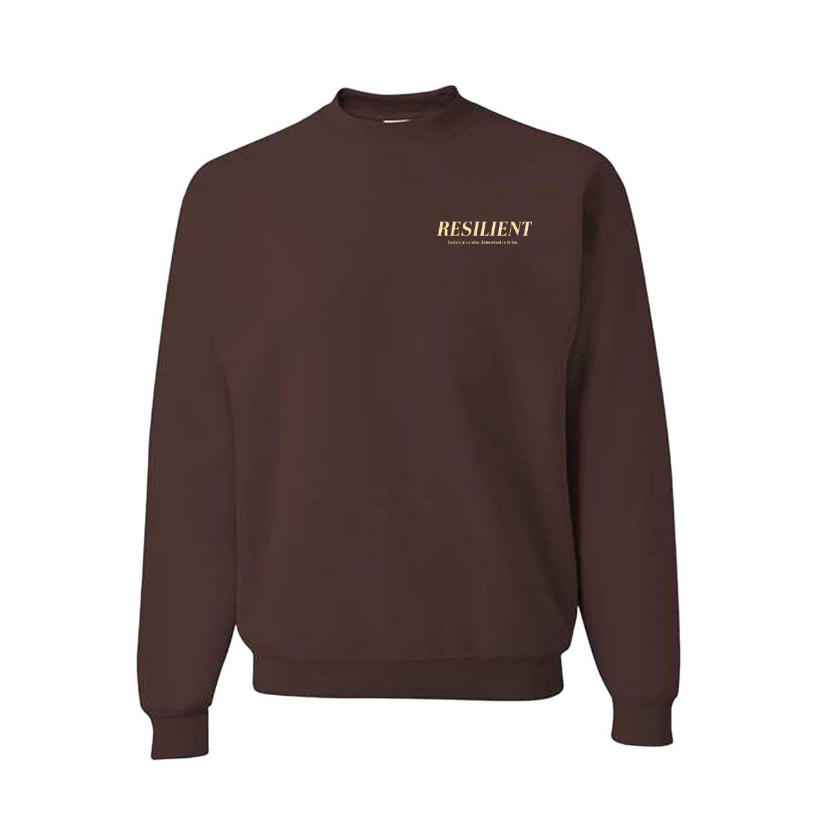 determinedtothrive_crewneck_br-F.jpg
