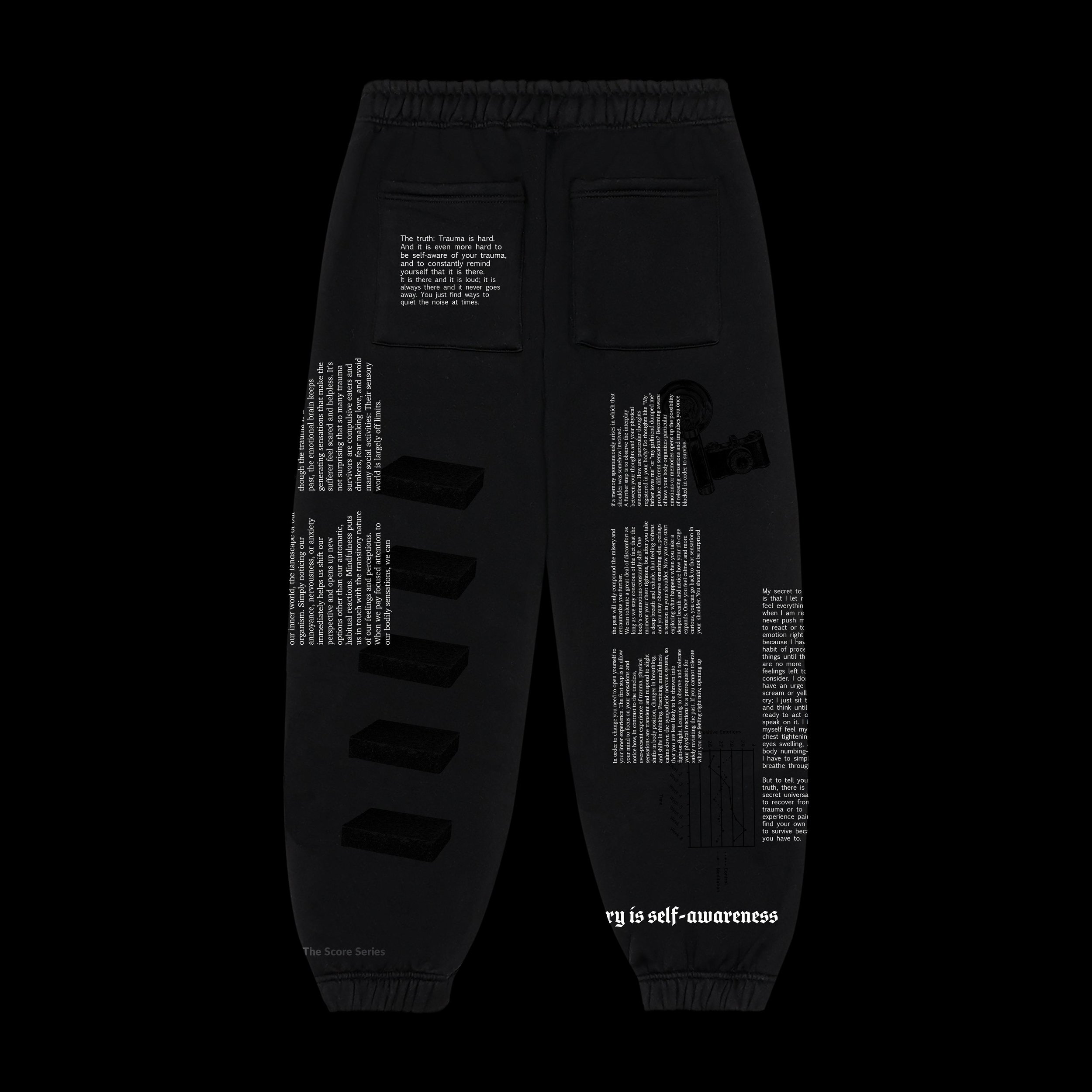 Trousers1_Back.jpeg