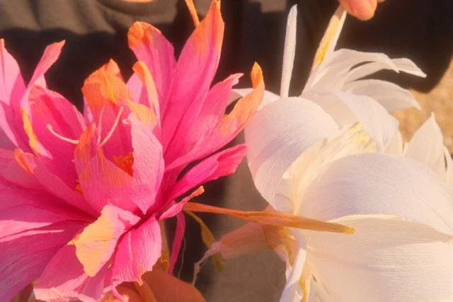 Queen of the Night paper flower white and dyed versions