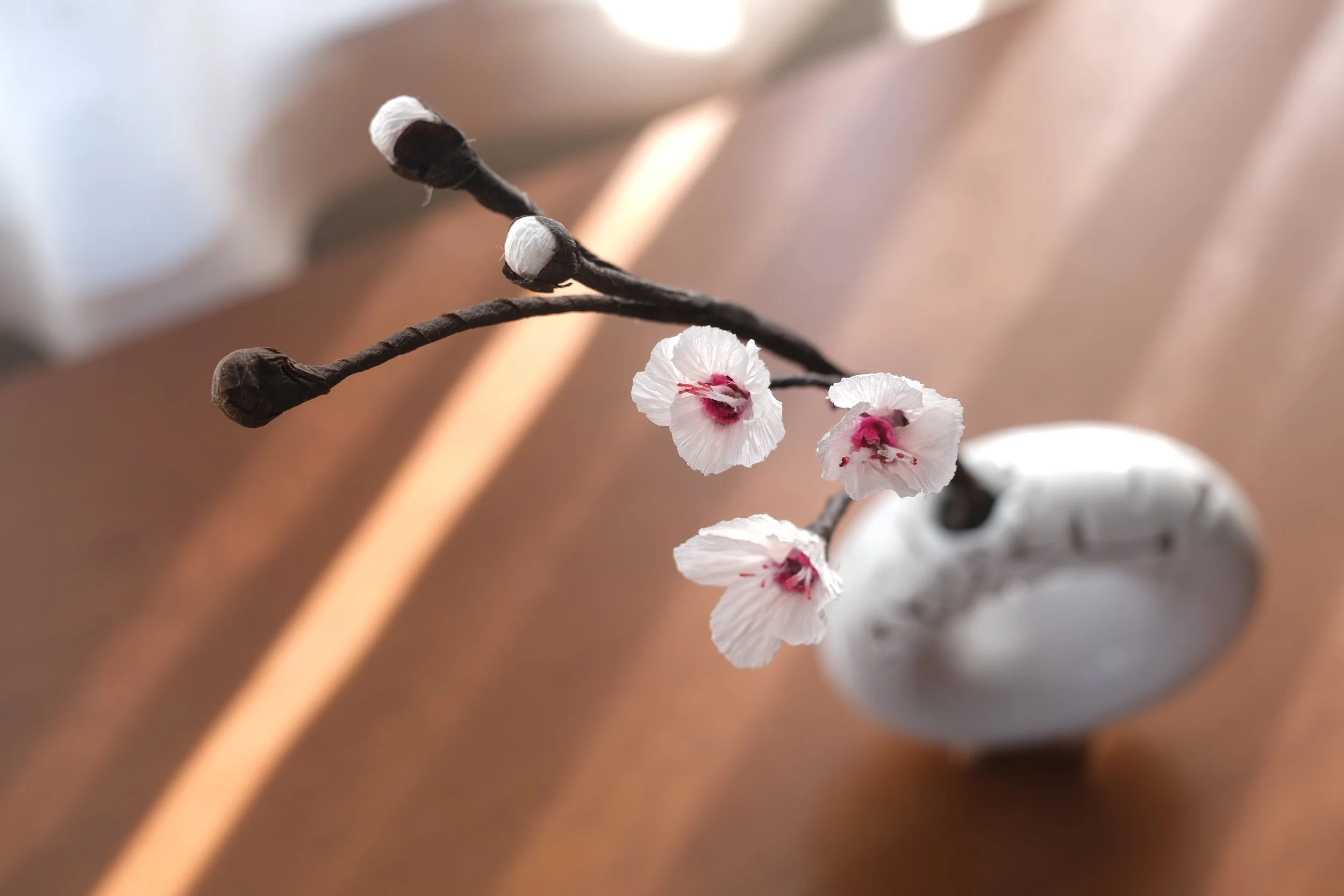 Baby Cherry Blossom Branch