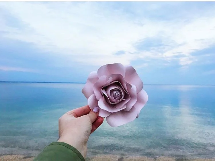 Baby Roses (set of 5)