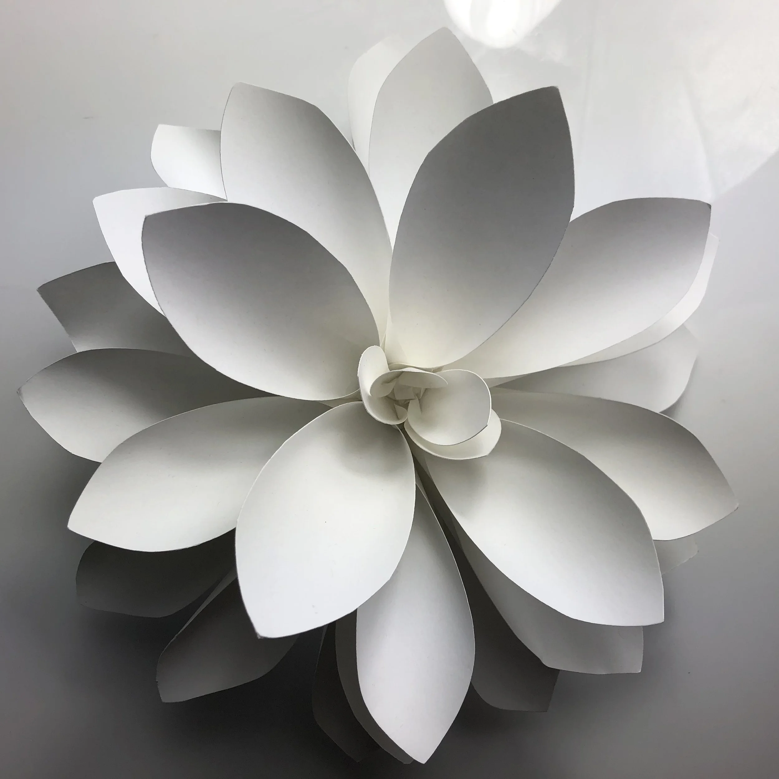 Photo Apr 20, 10 12 17 PM.jpg