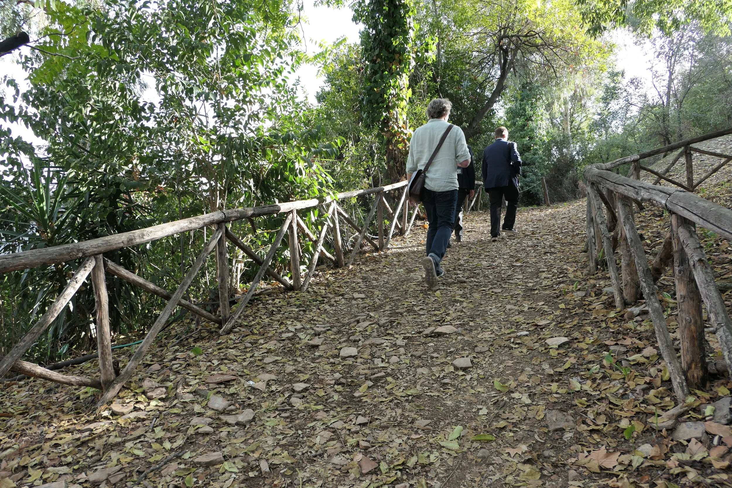 ON THE HILL OF SHARDS