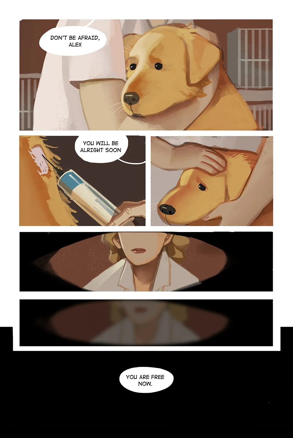 corgi01-s.jpg