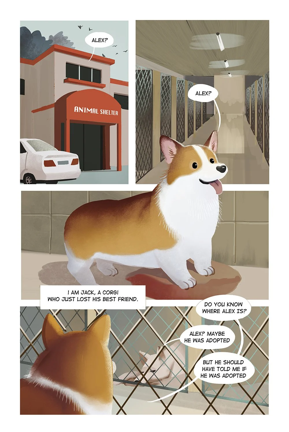corgi02-s.jpg