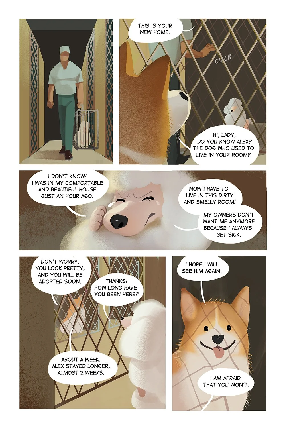 corgi03-s.jpg