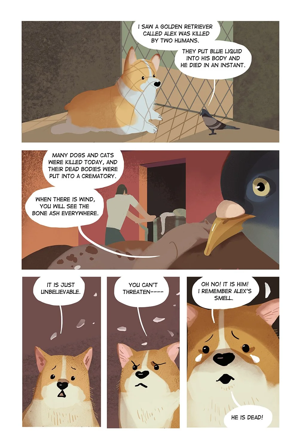 corgi04-s.jpg