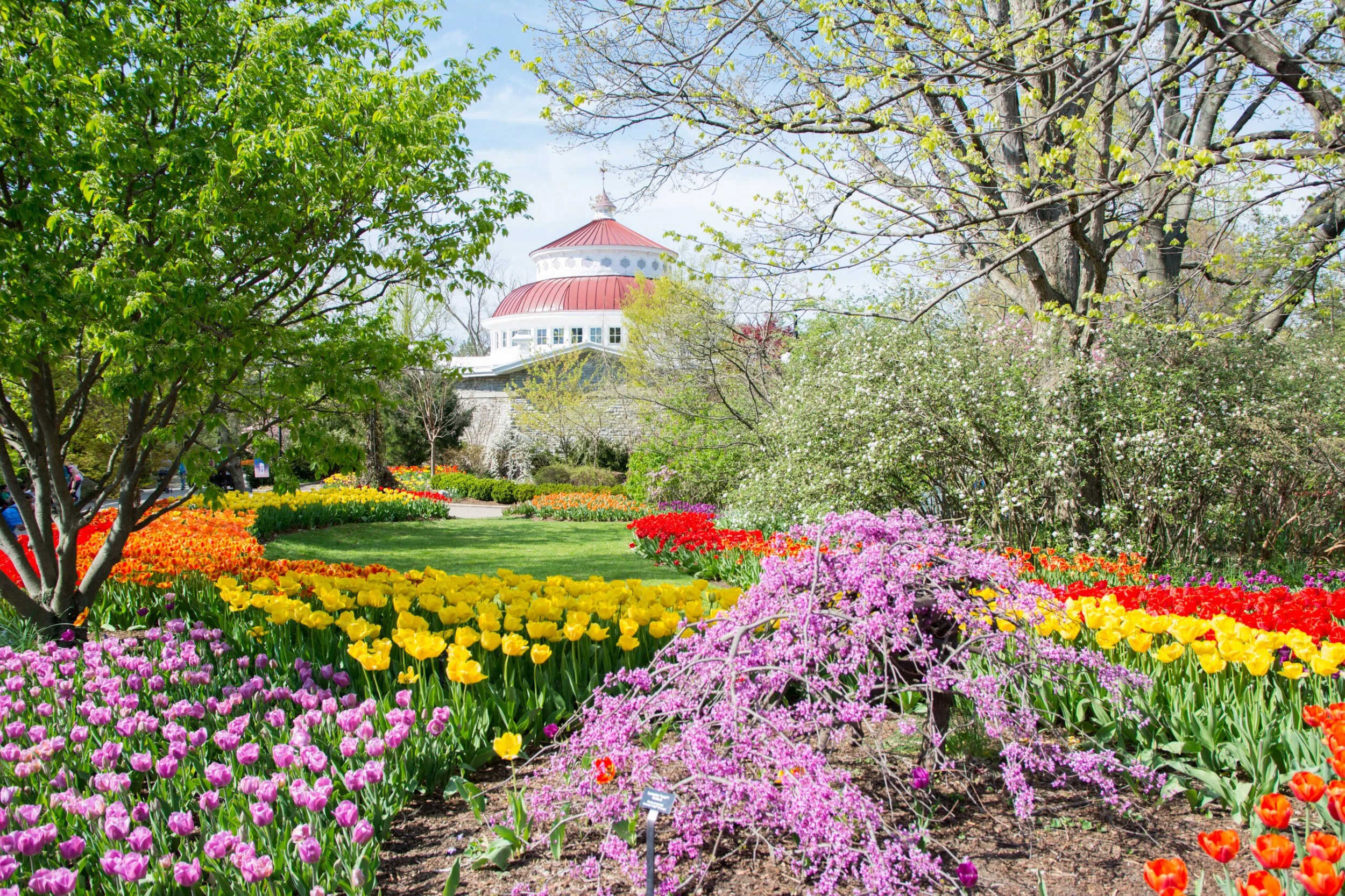 A 10-Year-Old, a Field of Flowers, and the Tension Between Fitting In and Standing Out