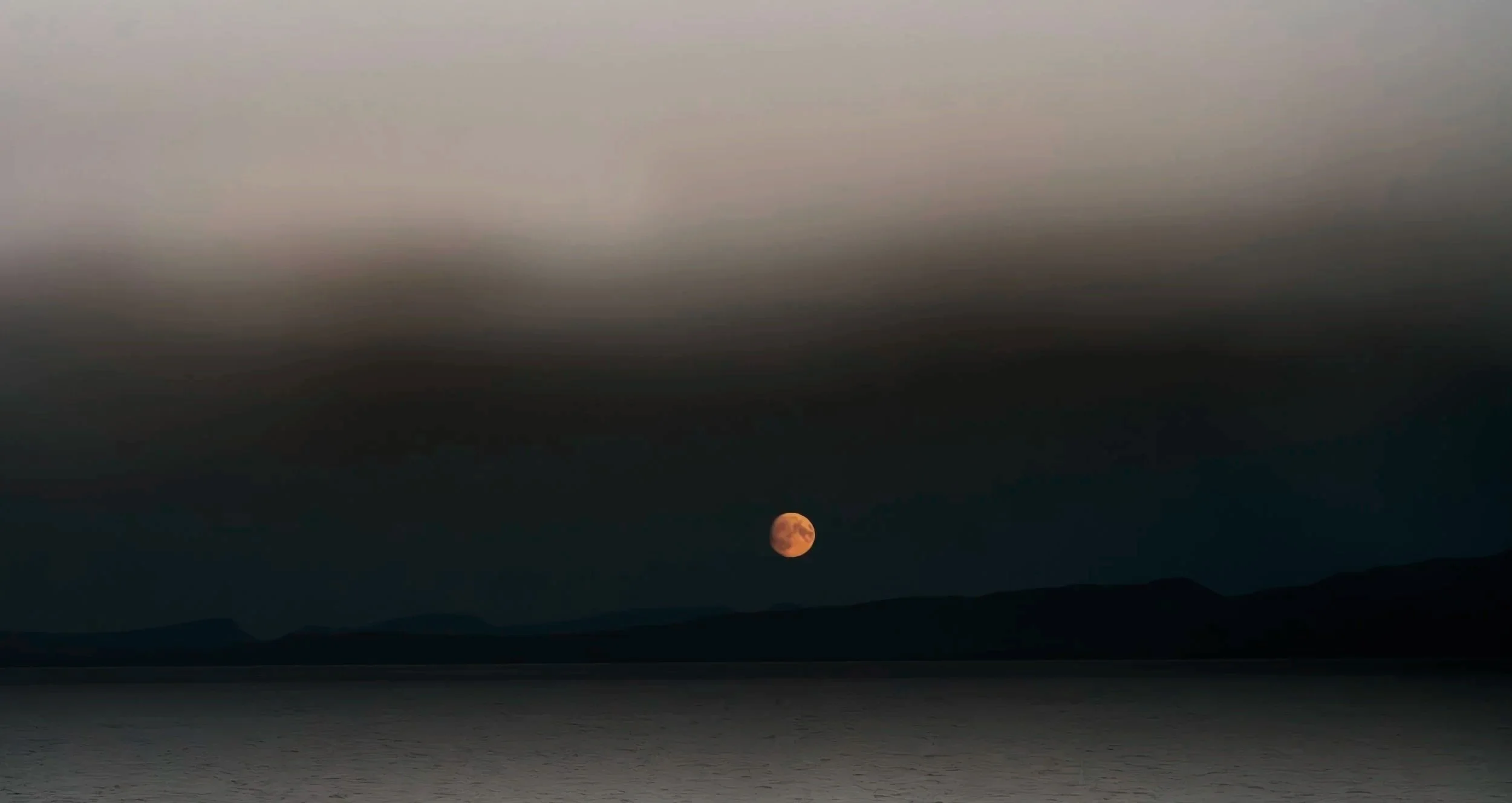 Saltzman_MoonRise_fx+copy+4.jpg
