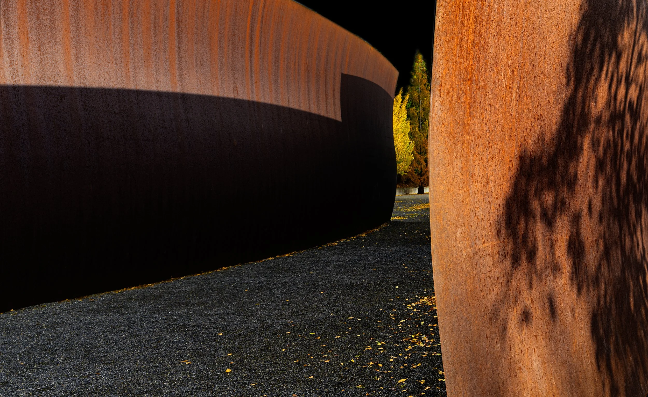 Saltzman_Richard Serra Wake final copy.jpg