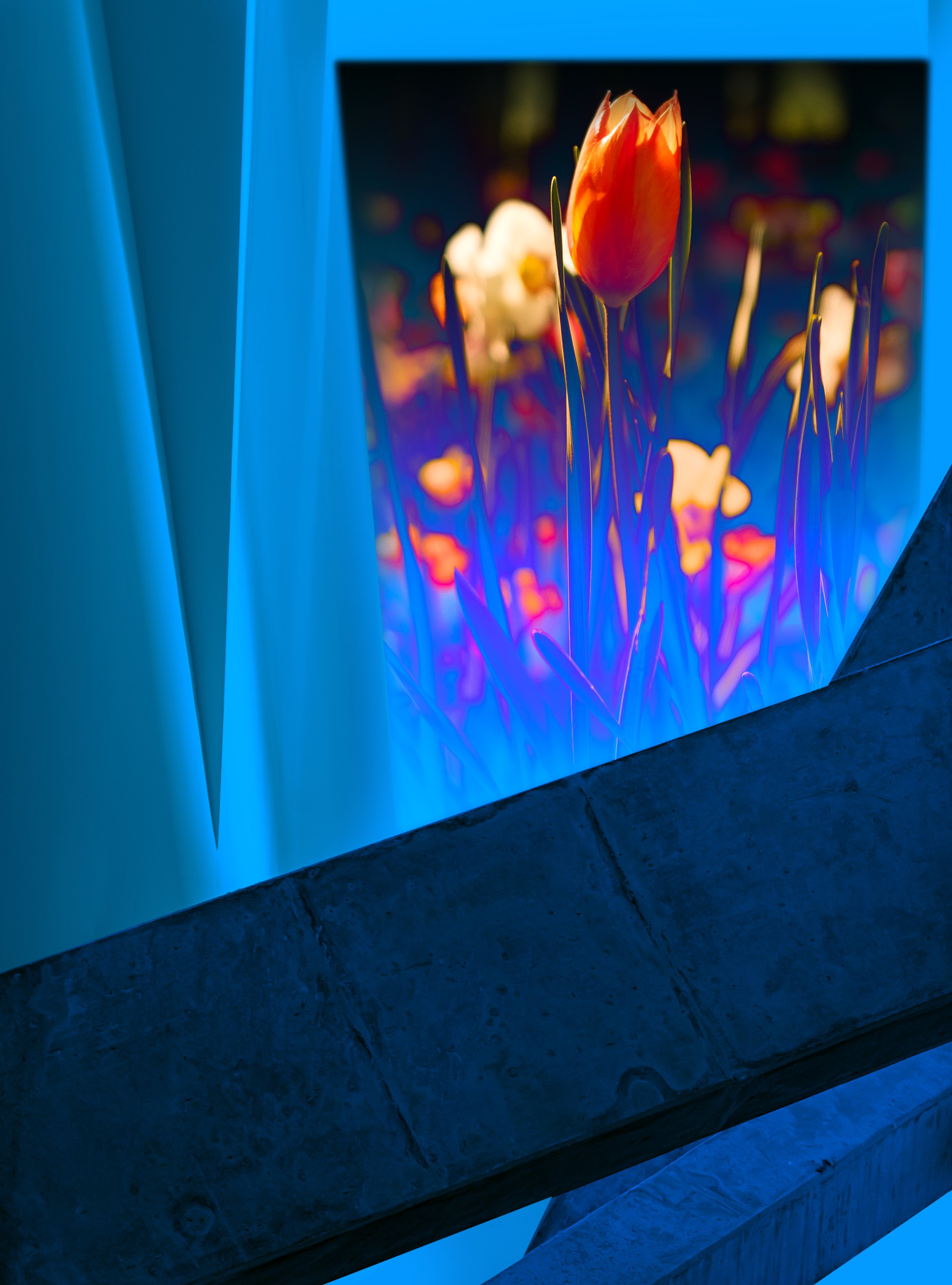 Hope, composite photograph