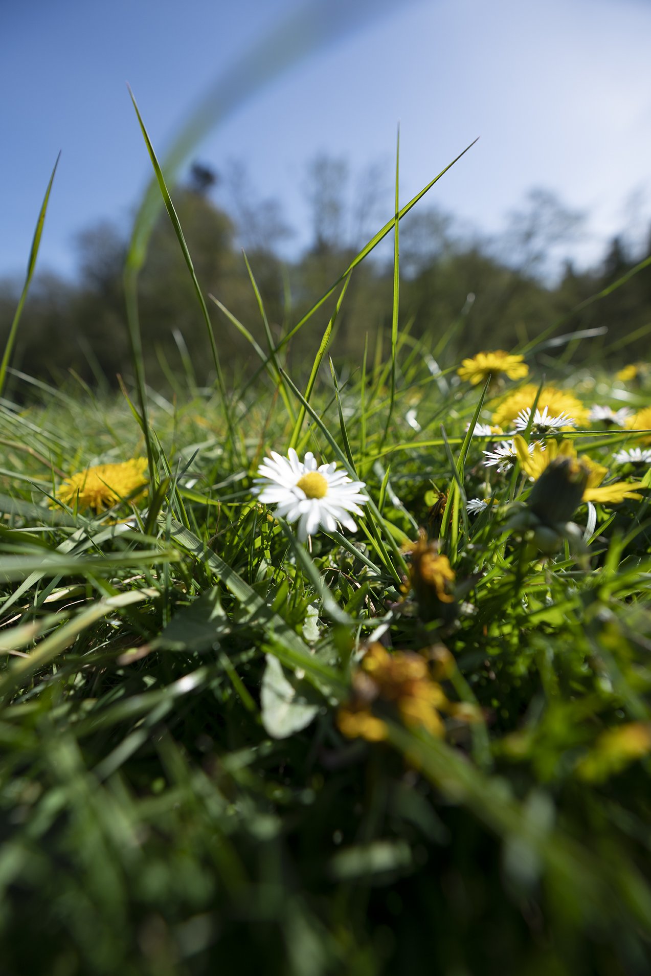 DSC06921 web copy.jpg