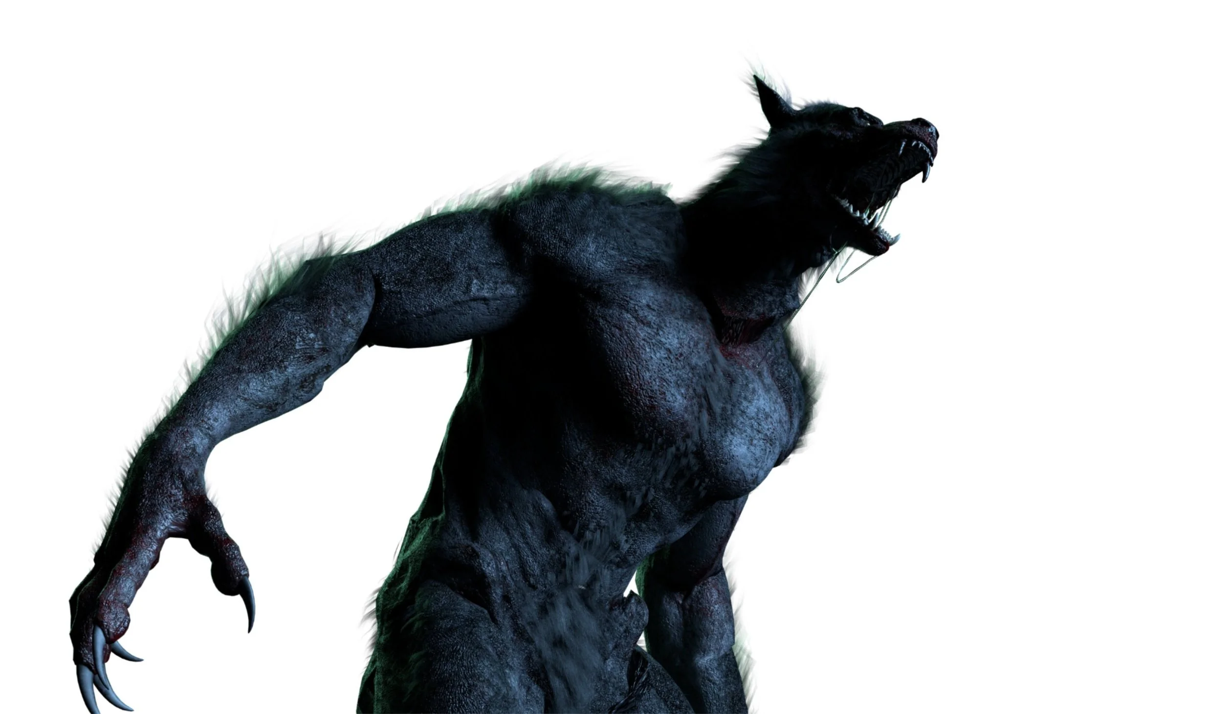 The Werewolf
