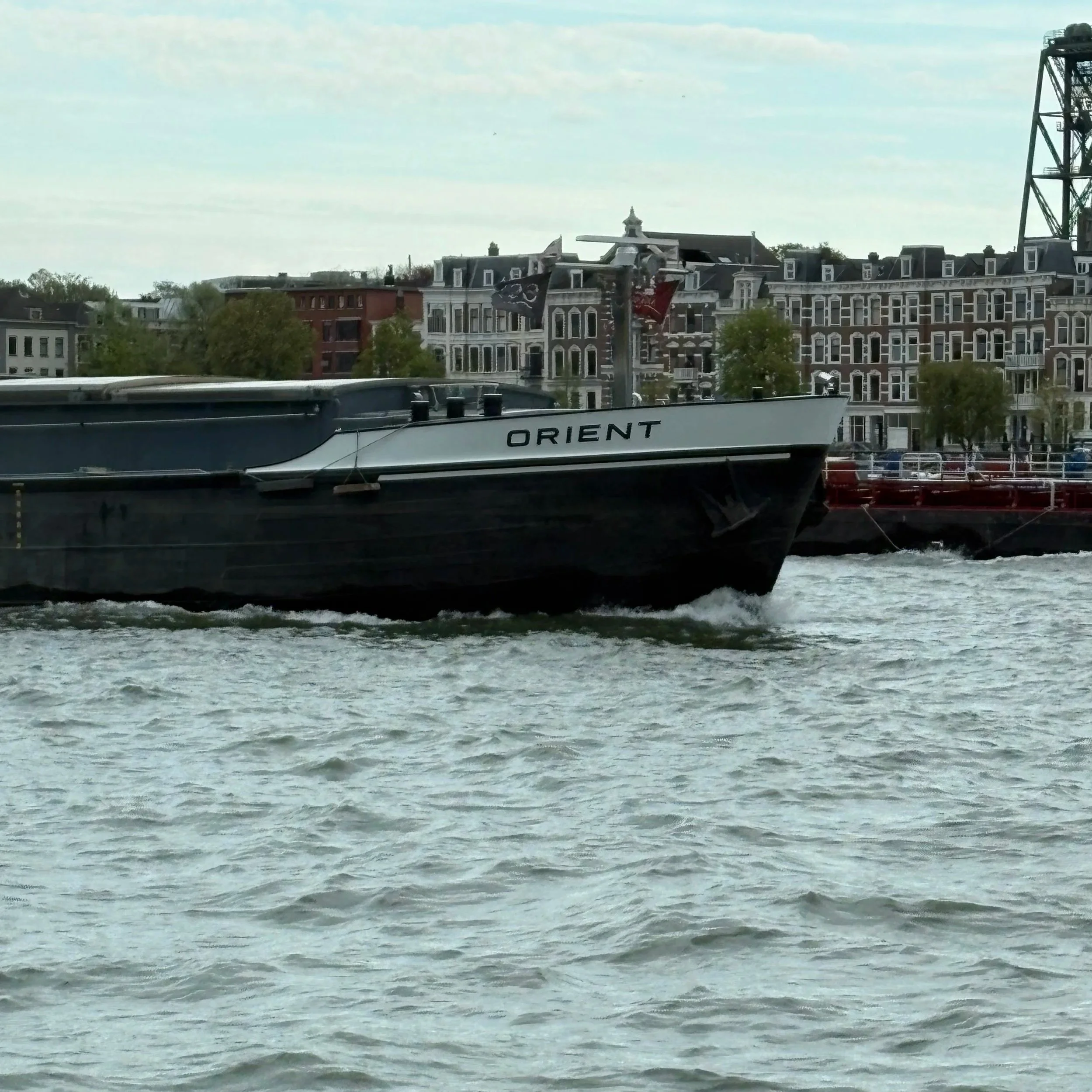 IMG_8035.jpg