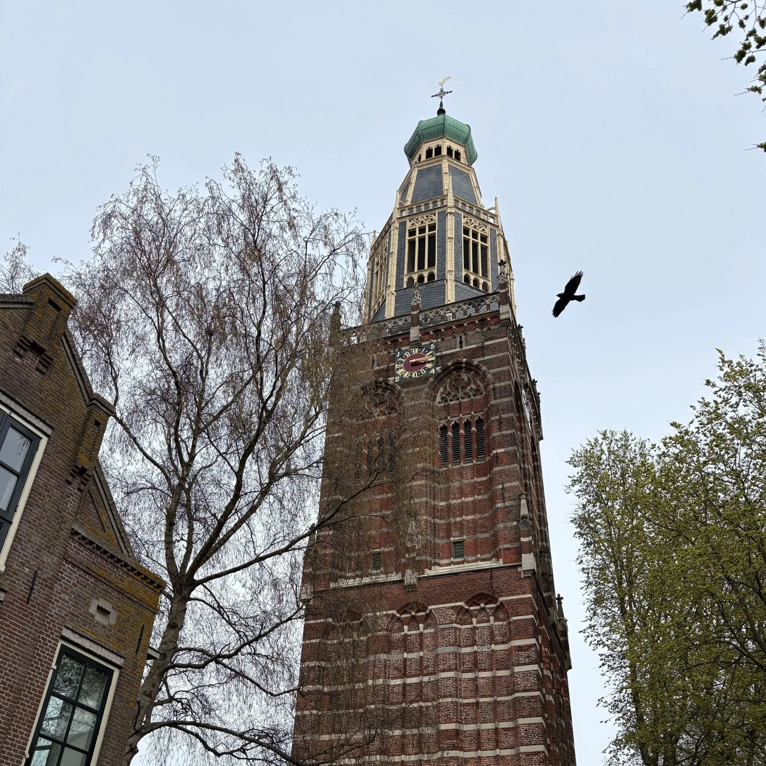 IMG_7972.jpg