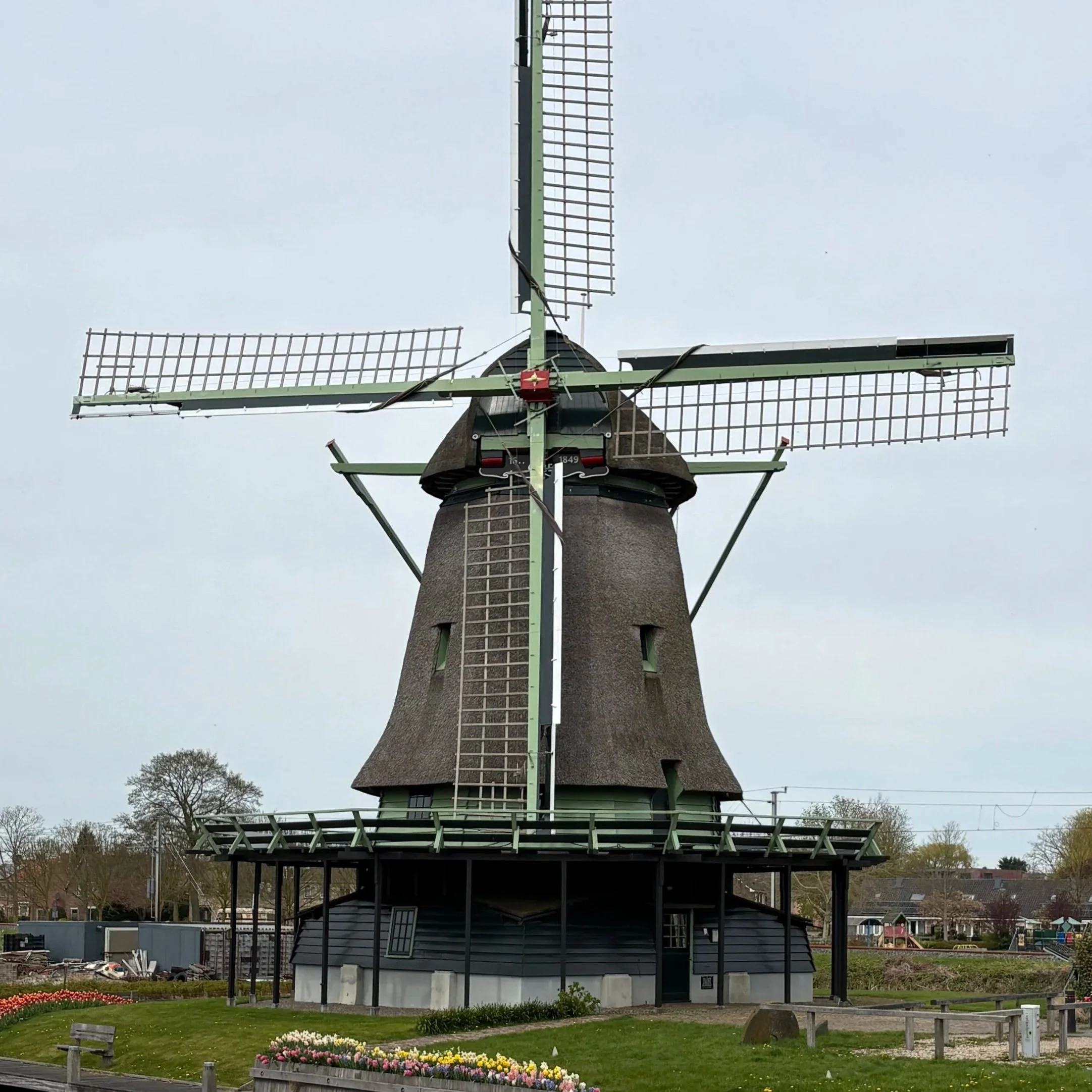 IMG_7960.jpg