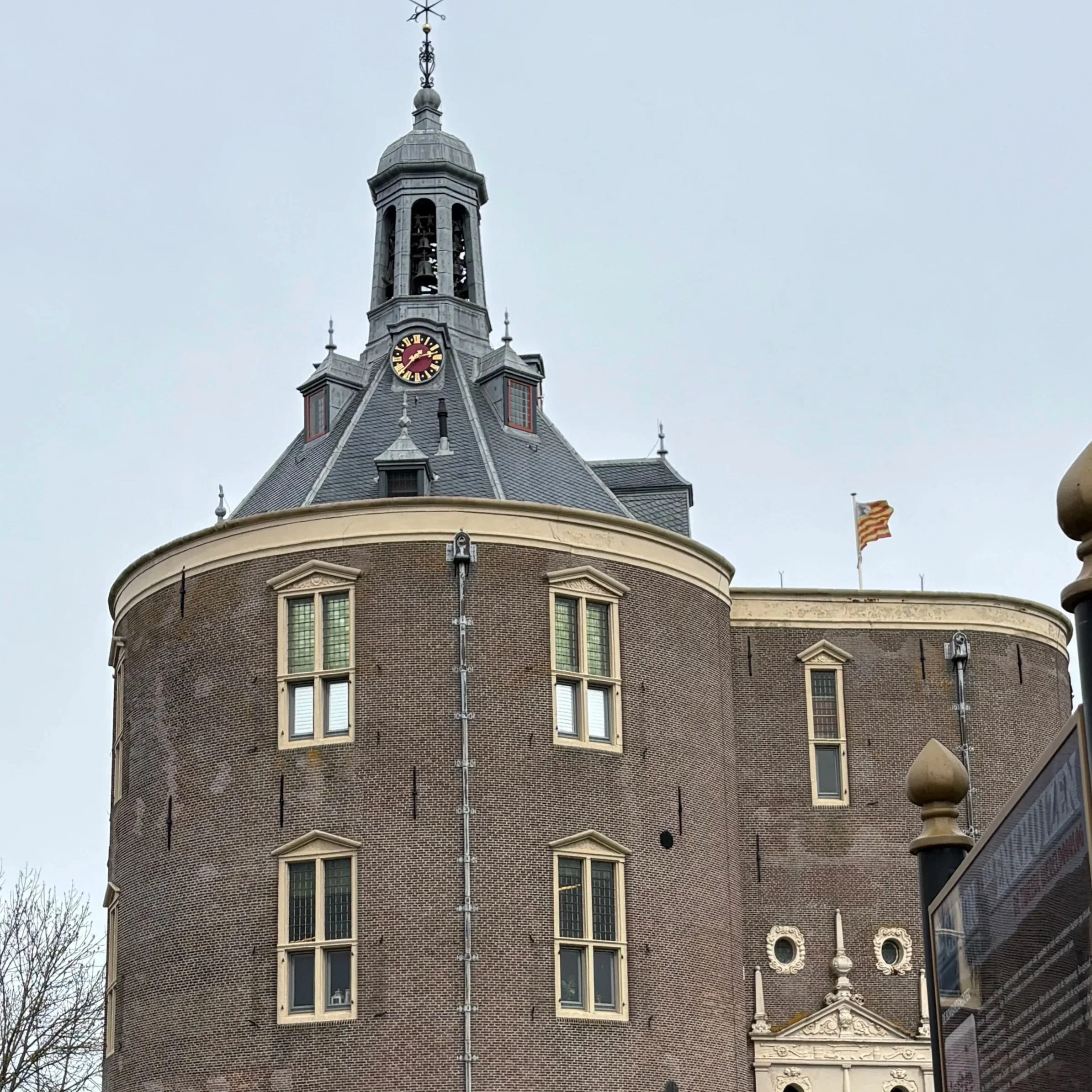 IMG_7968.jpg