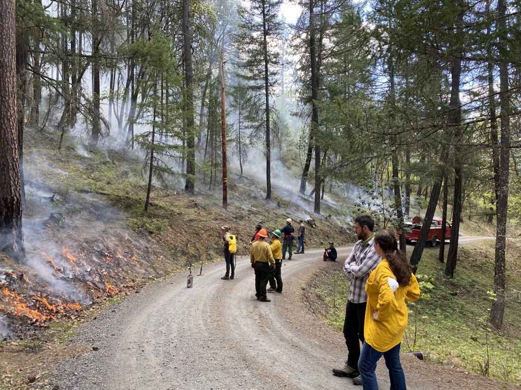 Group of volunteers watch broadcast burn from dirt road