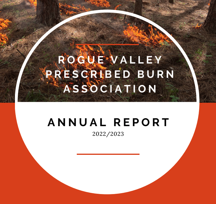 Title page image from the report