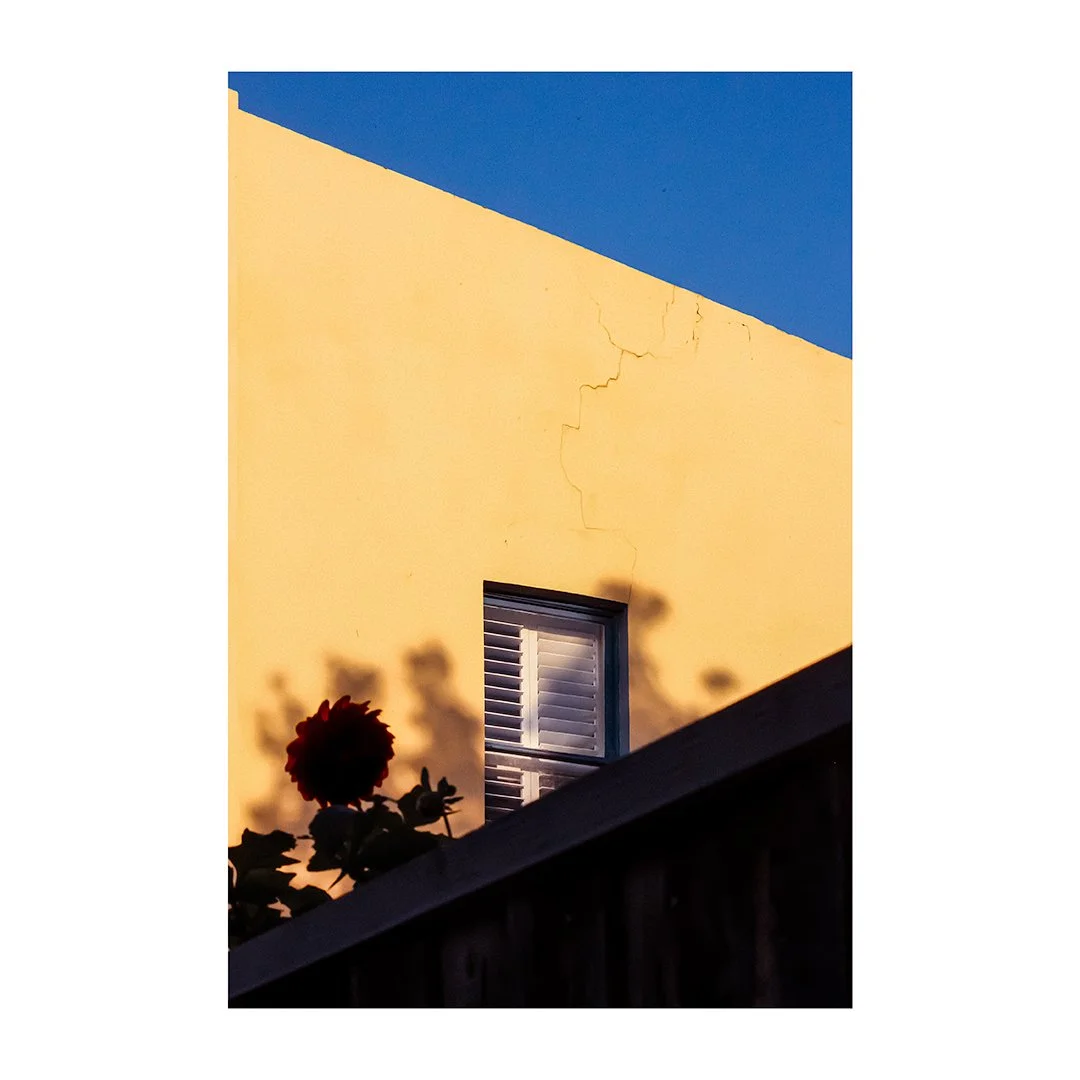 ‘Neighbour’s Window’