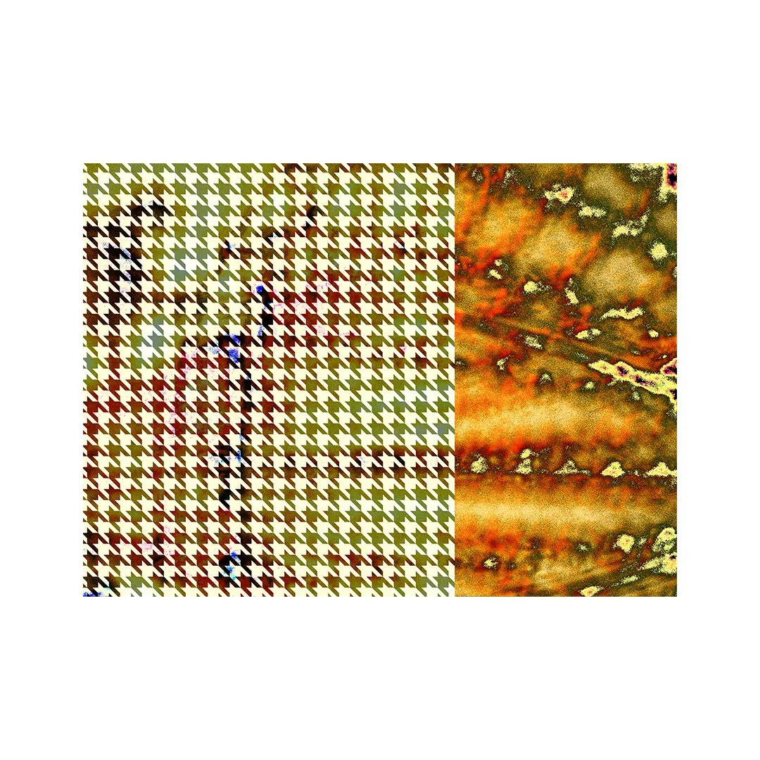 'Houndstooth Study No.1'