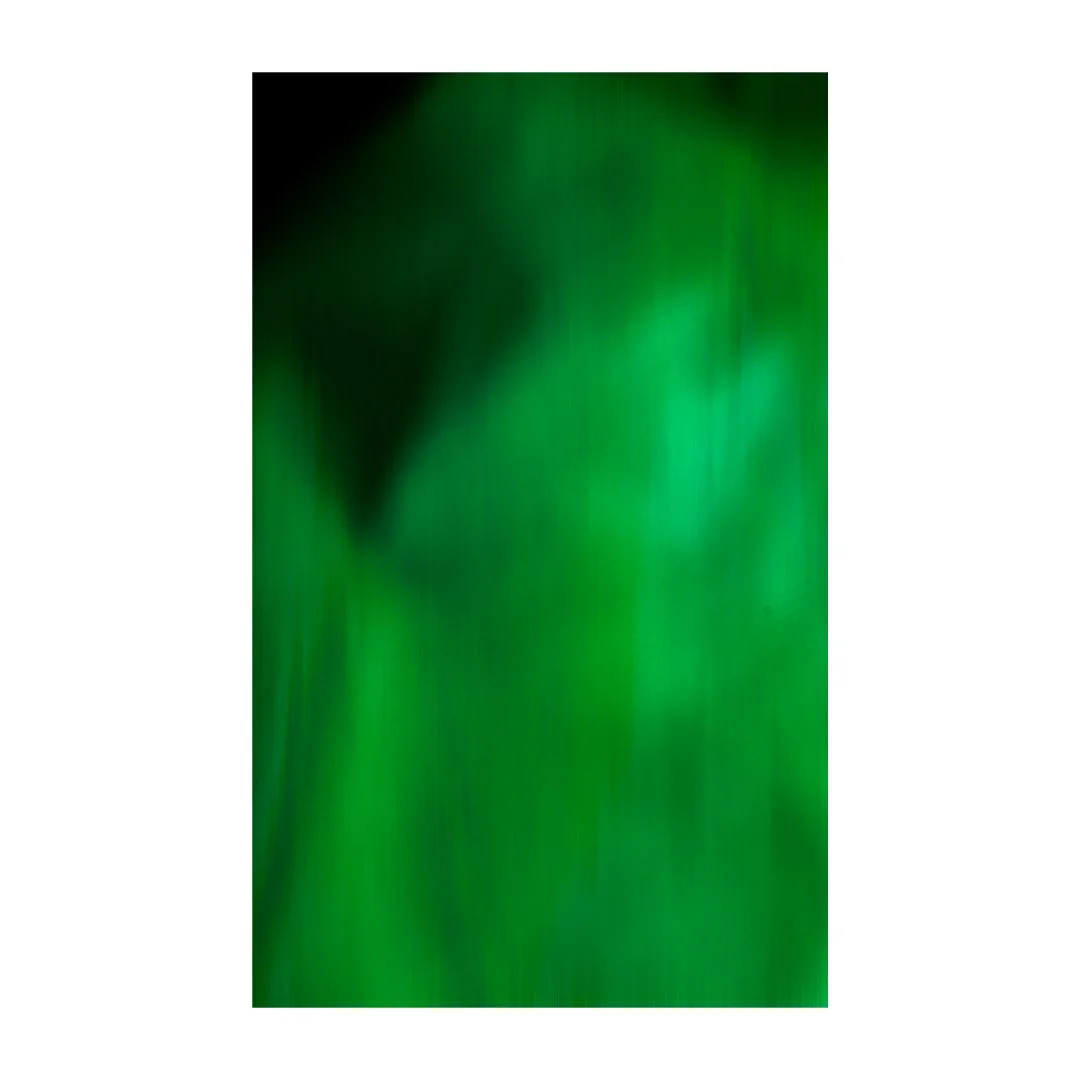 'Chlorophyll'