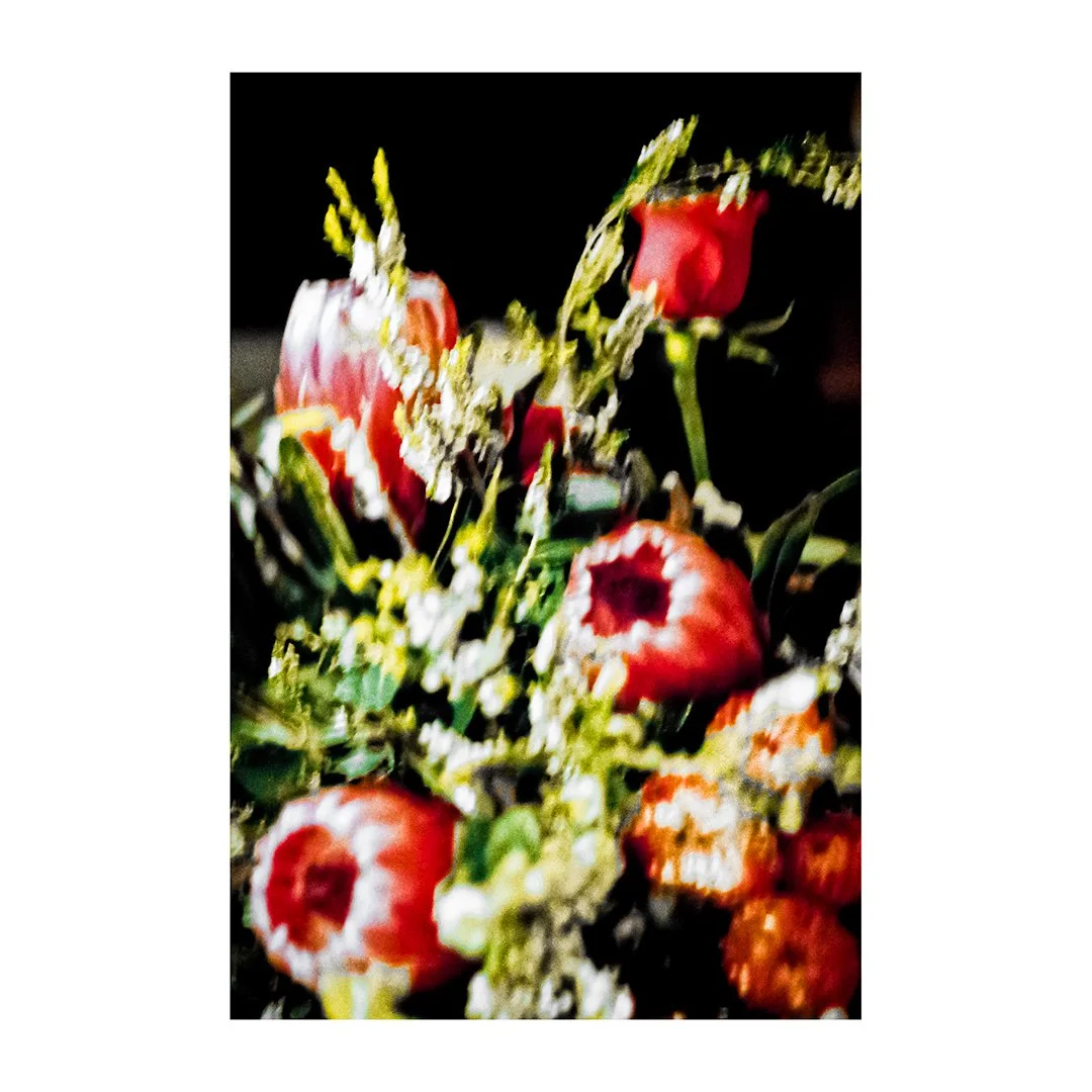 ‘Proteas’