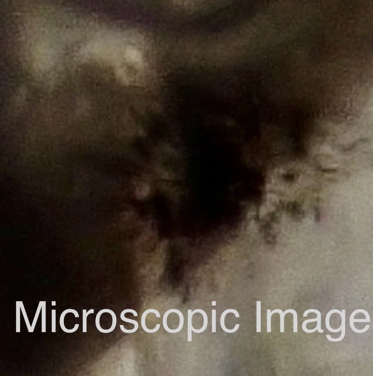 Screenshot 2025-12-27 at 3.24.07 PM copy.jpeg