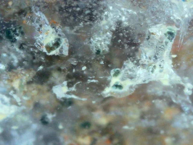 S20251012_010.jpg