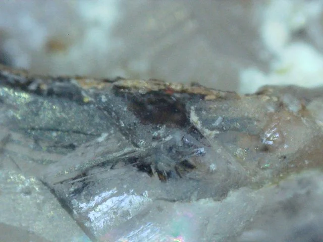 S20251012_004 10.37.32 PM.jpg