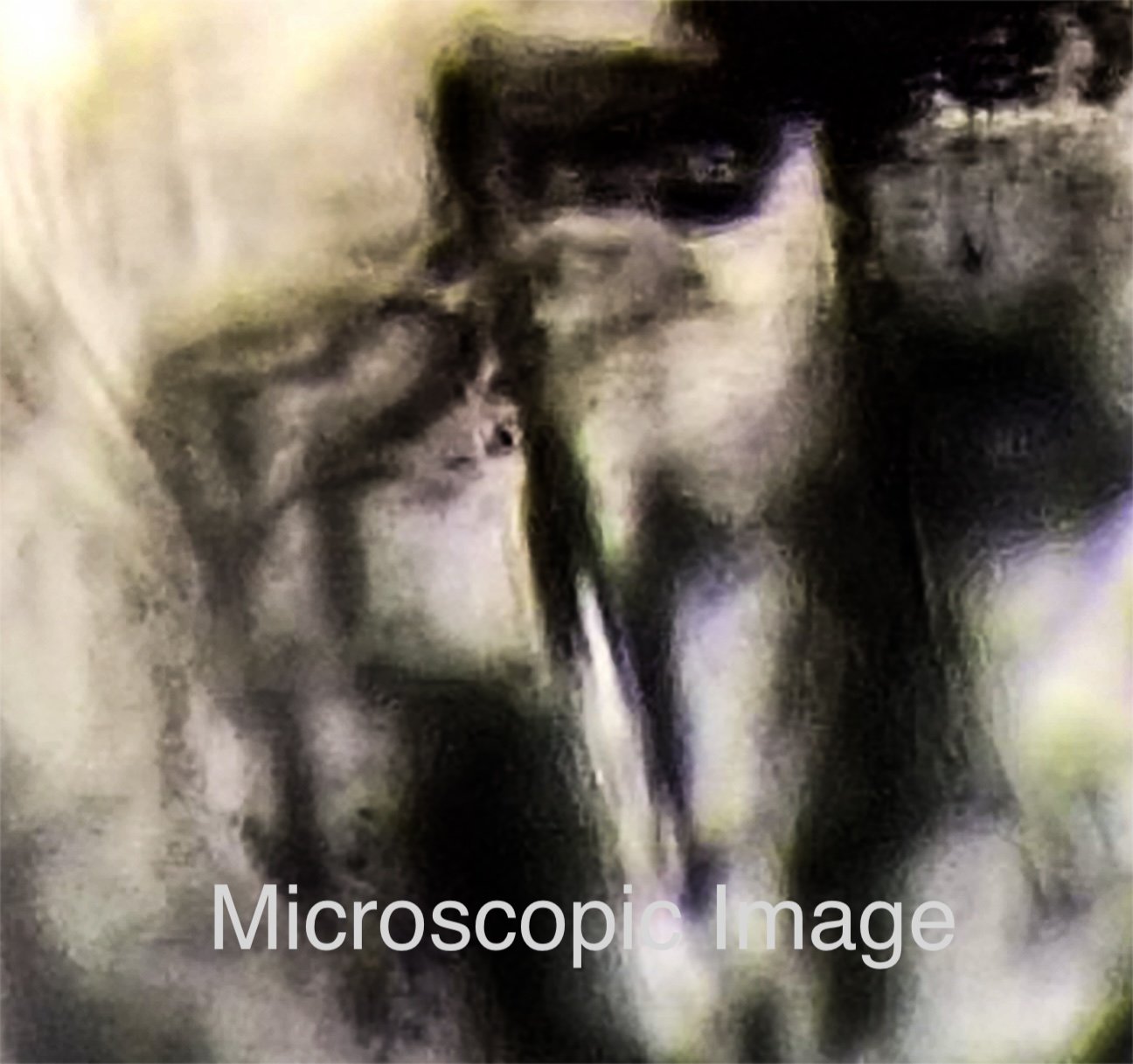 Screenshot 2025-12-27 at 4.07.03 PM copy.jpg