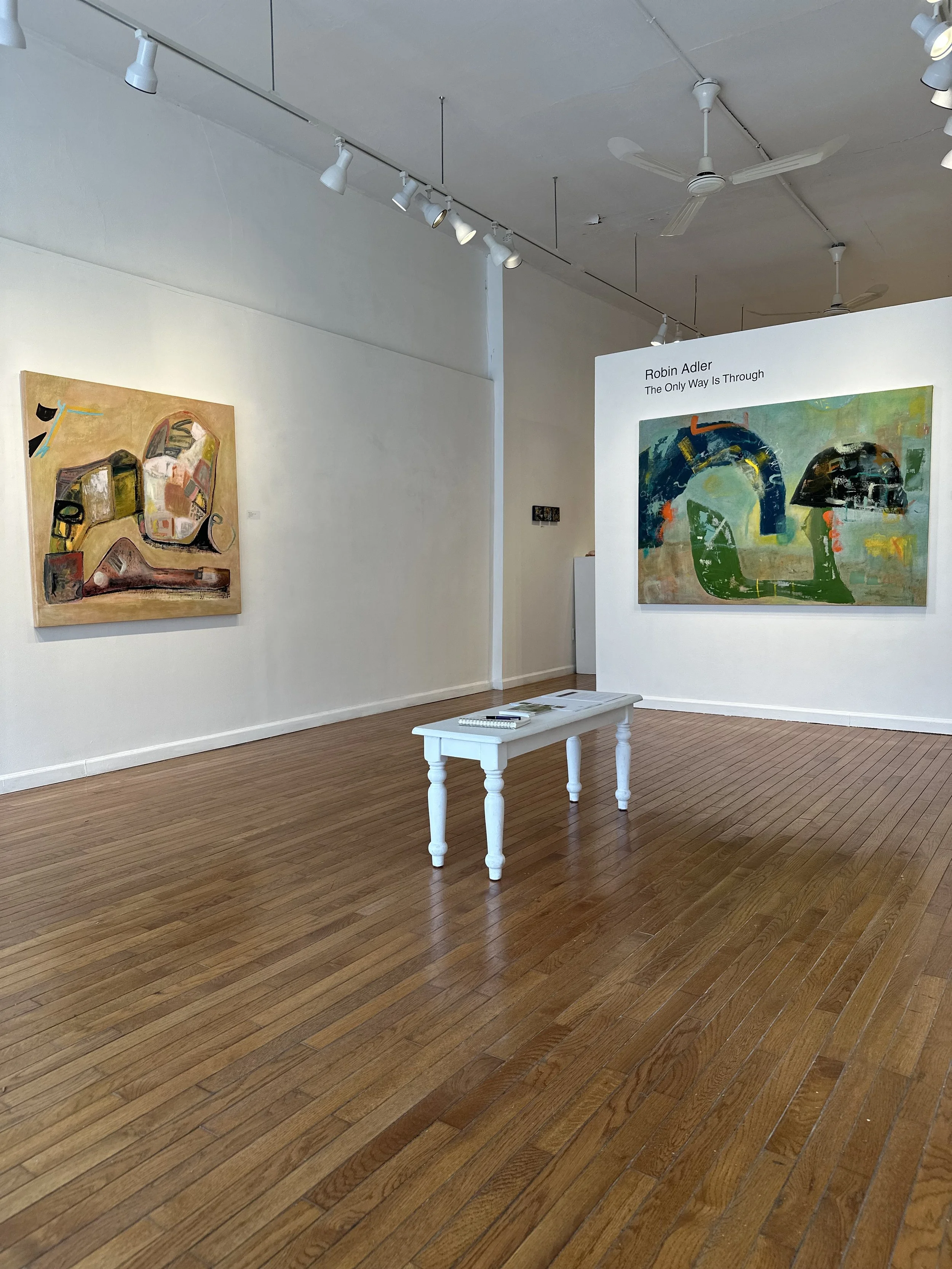 Installation solo exhibit The Only Way is Through.jpeg