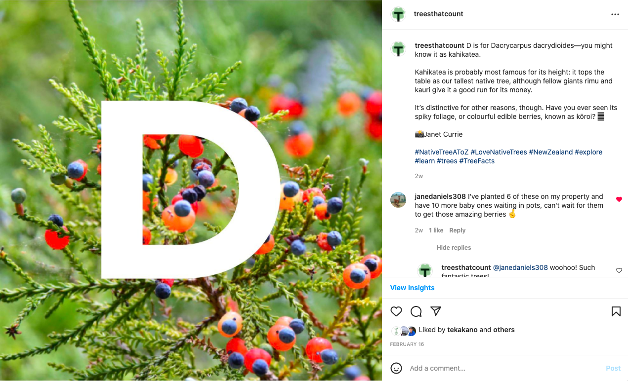 Instagram | Native tree alphabet series