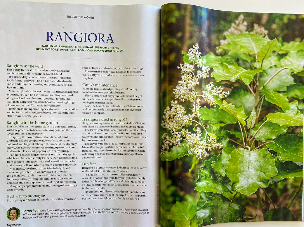 New Zealand Gardener | 2021