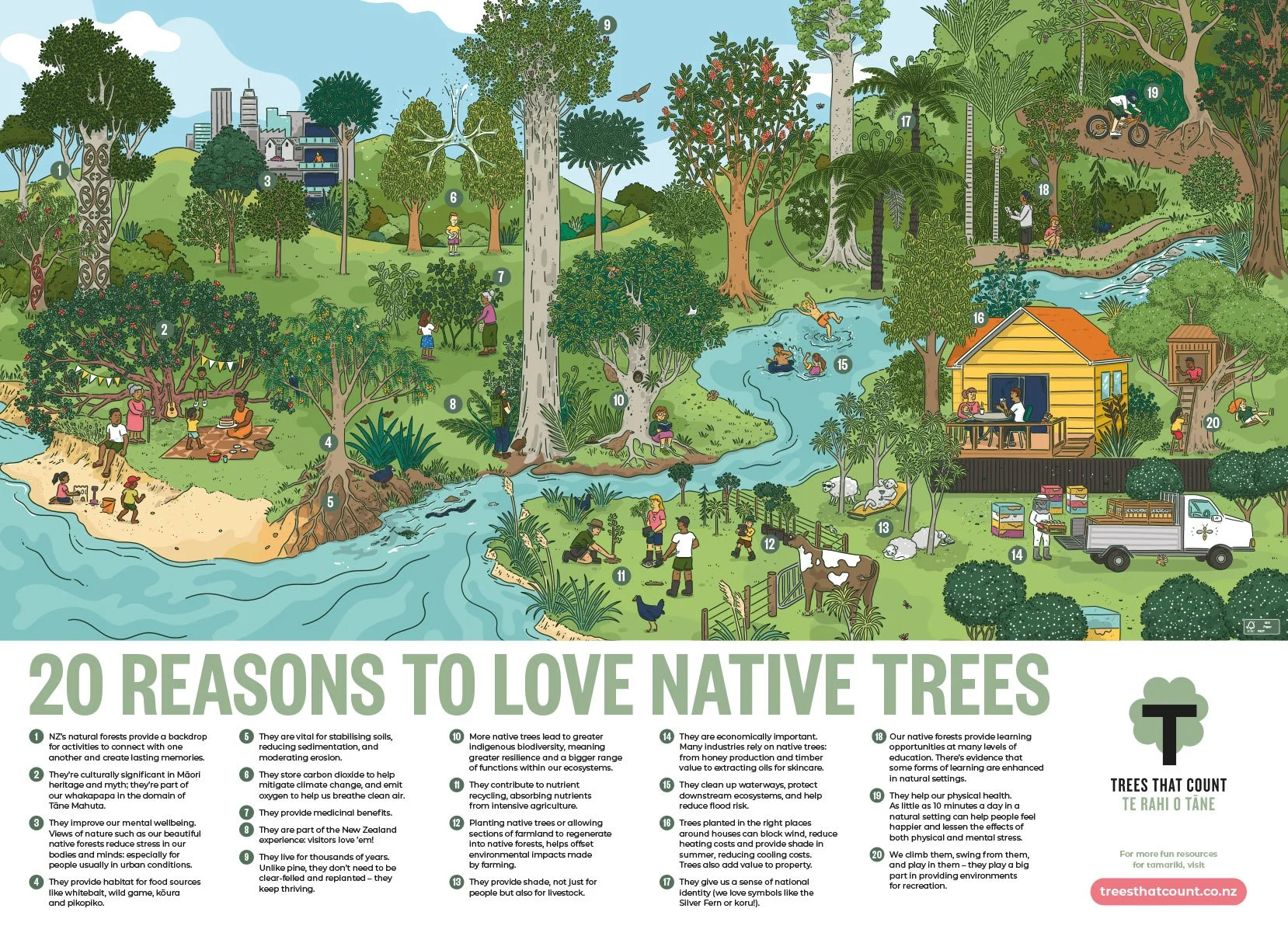 Love Native Trees posters | Based on an academic article on non-timber values of native forests, for kids and classrooms. Design by Margie Duignan.